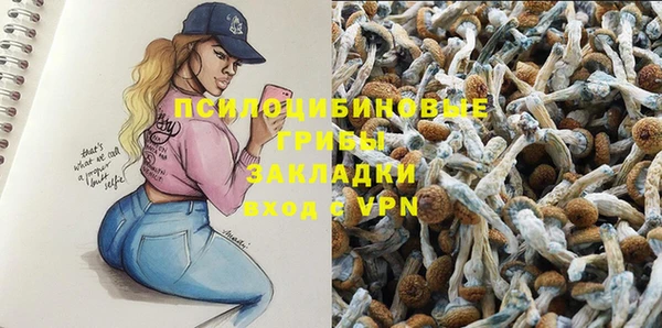 PSILOCYBIN Осташков